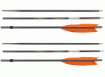 Carbon Express Atlatl lándzsa, 2 db, 53R717