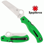 Spyderco Atlantic Salt Green, C89FPGR