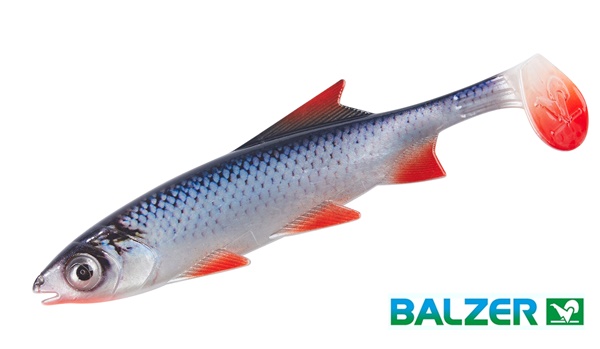 Balzer Shirasu Clone Shad 4D, 6,5cm, Roach, 3677206